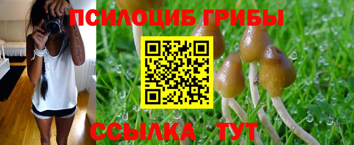 Псилоцибиновые грибы GOLDEN TEACHER  Вход с VPN  Псилоцибиновые грибы Magic Shrooms  Севастополь 